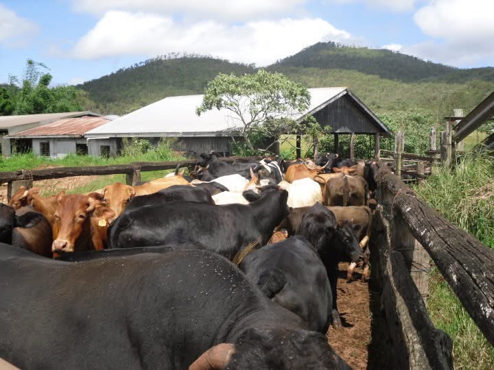 Rohan's family farm, Australia